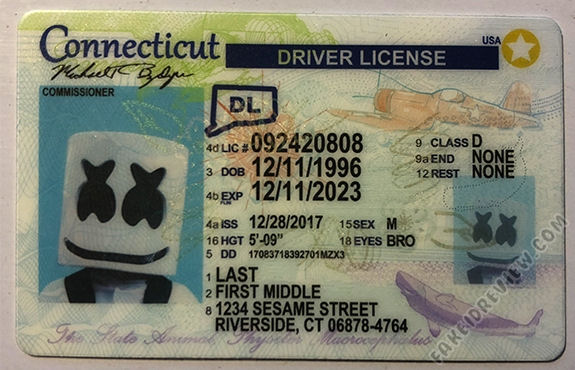 Bogusbraxtor Connecticut Fake ID