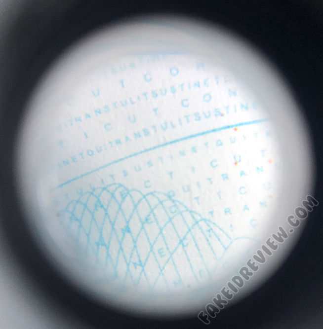 Bogusbraxtor Connecticut Fake ID Microprint